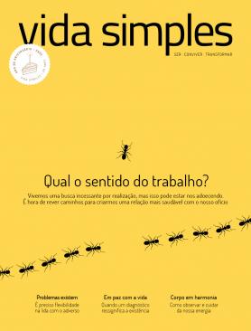 Vida Simples Ed. 240