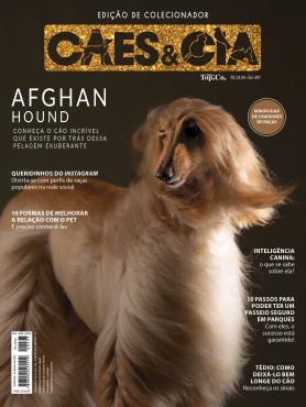Cães e Cia Ed. 497