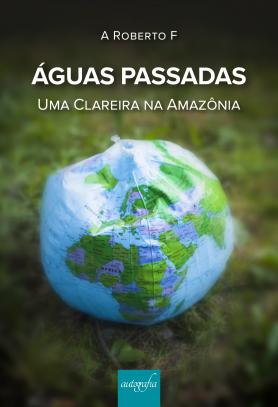 Águas passadas: uma clareira na Amazônia