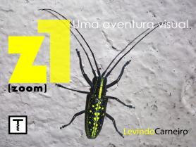 Z1 - Zoom - uma aventura visual