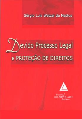 Devido Processo Legal e Proteção De Direitos