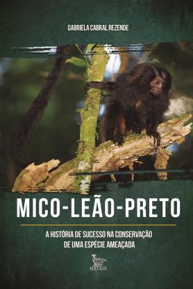 Mico-leão-preto: A história de sucesso na conservação de uma espécie ameaçada 