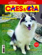 Cães e Cia Ed. 494