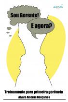 Sou Gerente! E agora?